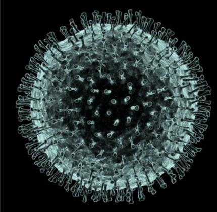 Coronavirus Virus ARN con manto Producen infecciones respiratorias altas, tipo resfrío El SARS produjo una pandemia limitada de neumopatía aguda, principalmente en Europa en 2003, con mortalidad