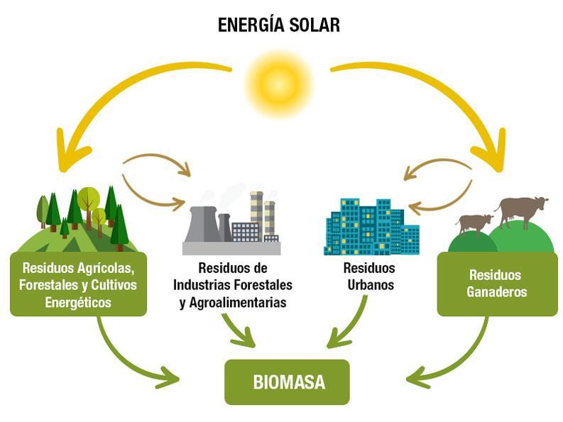BIOENERGÍA La bioenergía es un tipo de energía renovable que se obtiene de materia orgánica, la cual también es conocida