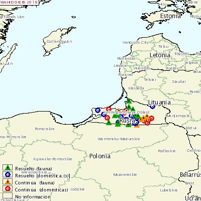 Mapa OIE focos Rusia (Kaliningrado) junio-julio 20