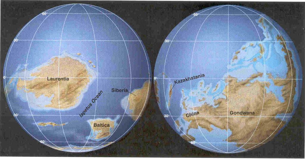 CAMBRICO 540-490 ma Cinco continentes, ninguno en posición polar Nivel del mar muy bajo,