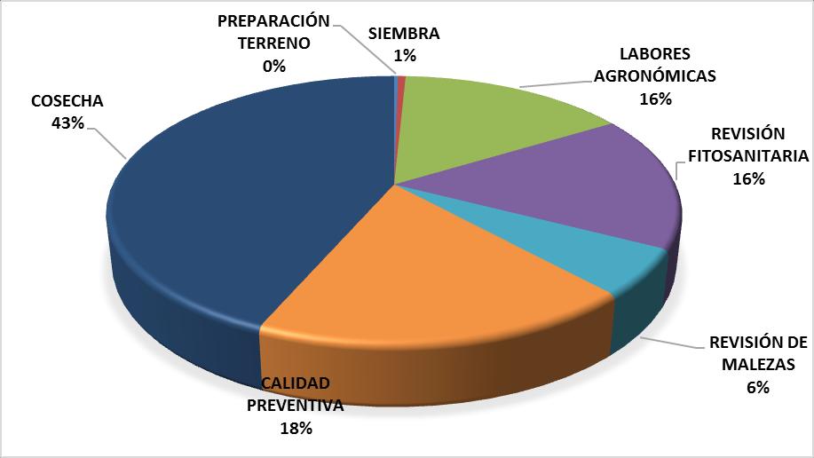 3% Fertilizantes 19% Mano de Obra 15%