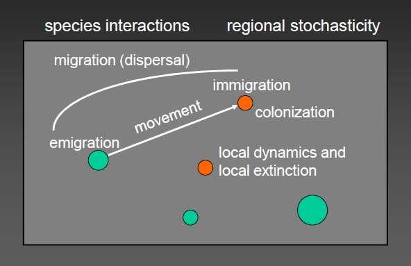 Modelos estocásticos de ocupación de parches SPOM Colonización y extinción como en metapoblaciones-islas