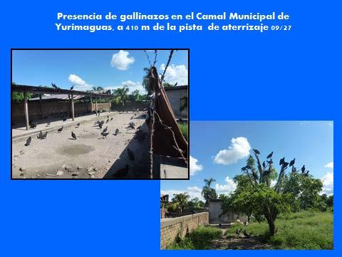 de la Municipalidad de Yurimaguas y presencia