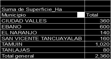 Las densidades poblacionales (densidad promedio por municipio) se indica en el cuadro No. 2 los municipios con mayores densidades son Ciudad Valles y El Narango. MUNICIPIO DENSIDAD Tamuín 2.