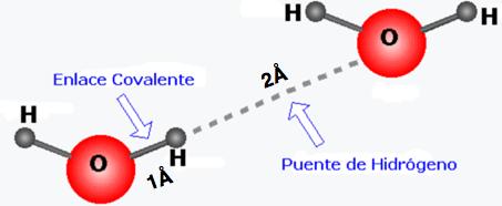 Principales características de los enlaces por puentes de hidrogeno en los sólidos cristalinos. Es un caso particular del enlace de molécula polar y es el enlace secundario más fuerte, (O-H O).