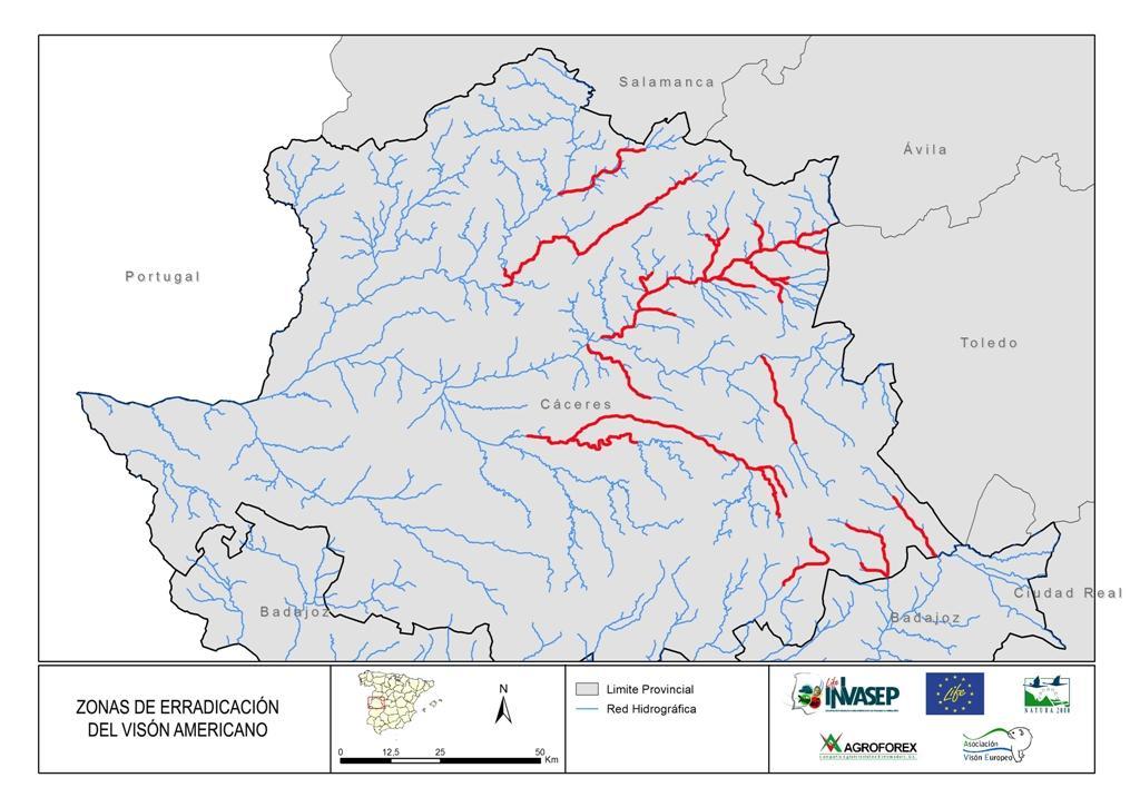 Protocolo para control y/o erradicación del VA en Extremadura (Tramos erradicación) Prioridad I: Río Jerte y el río Alagón, en su confluencia (80 km). Río Ambroz (entre Hervás y el Alagón (30 km).