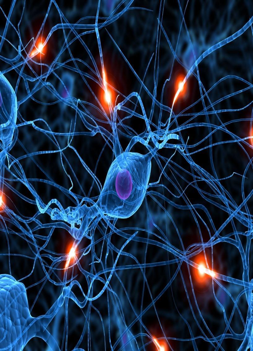 El combustible del cerebro es la mayor cantidad de redes neuronales que podamos realizar. Pero, cómo?