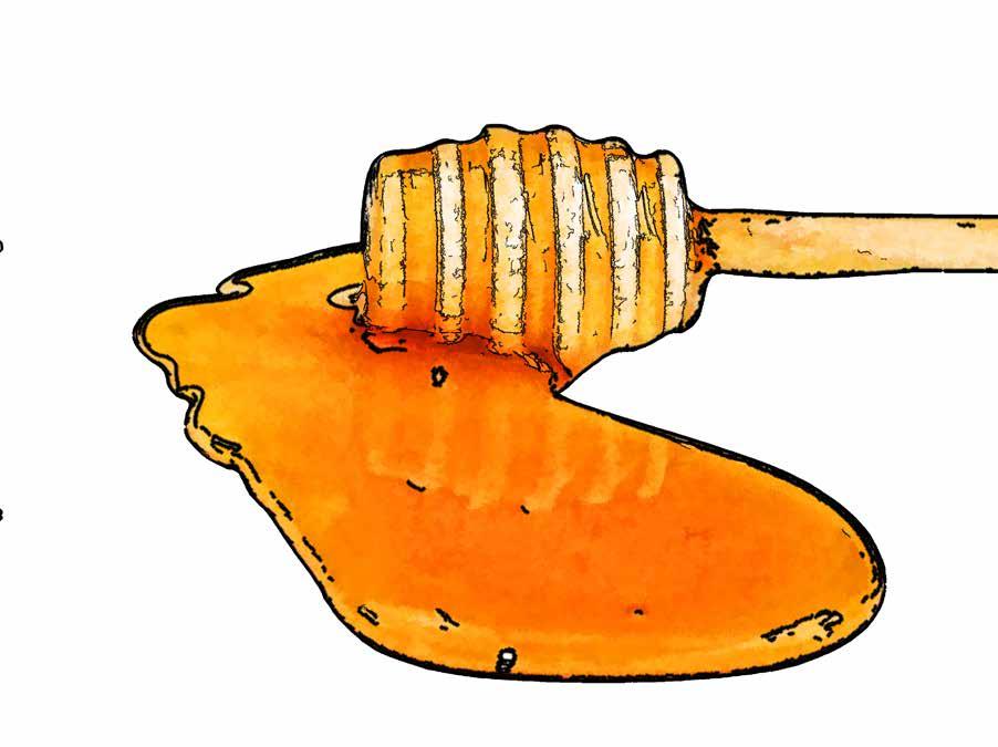 La miel es un producto que elaboran nuestras La Miel abejas, a partir del néctar que recogen de unas bolsitas