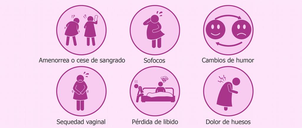 CLIMATERIO ENFERMERÍA Amenorrea (ausencia de menstruación) superior a seis meses, o inferior a seis meses con alguno de