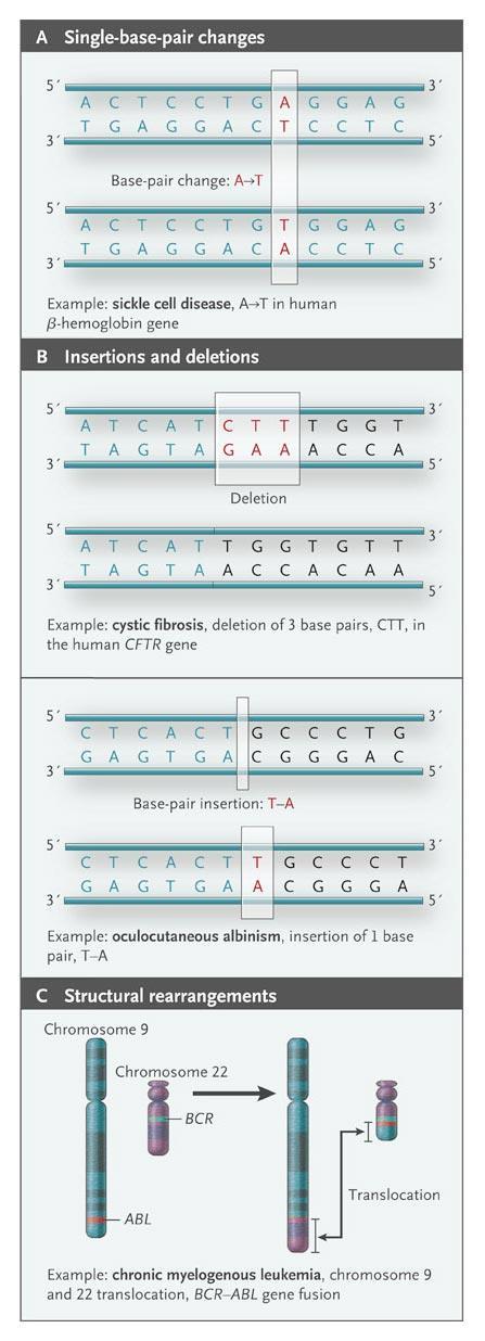 Mutaciones en el genoma humano Feero et al (2010)