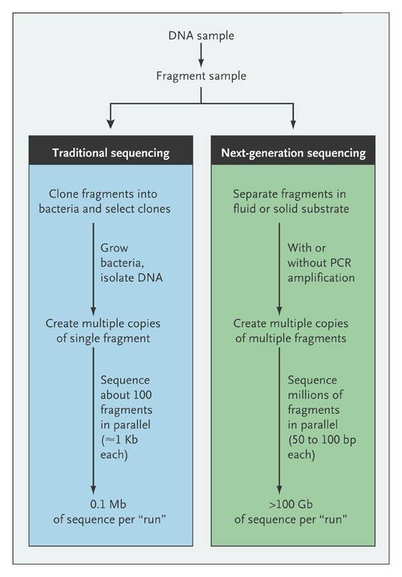 Técnicas de secuenciación de ADN Secuenciación mediante el método de Sanger vs