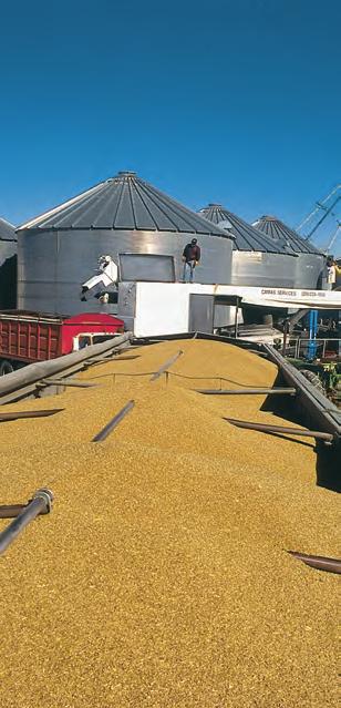 RESÚMEN Saludos! U.S. Wheat Associates se complace en presentar el Informe de Calidad de los Cultivos de 29 en un momento en que las condiciones del mercado concuerdan para crear el mejor valor de