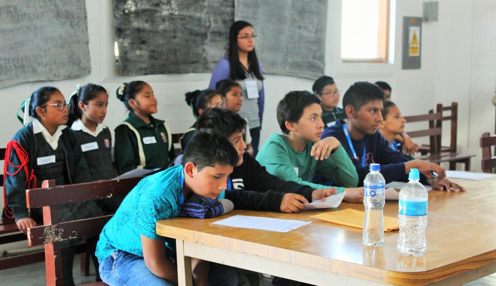 Este proceso ha sido liderado por la Sociedad Peruana de Síndrome Down (SPSD) con el apoyo del proyecto Fortalecimiento de la Educación en el Perú (FORGE), a cargo del Grupo de