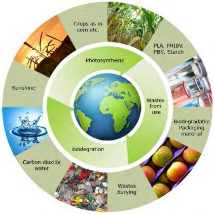 Descripción proyecto El objetivo general del proyecto Multibiosol es demostrar que la sostenibilidad y la eficiencia de las prácticas agrícolas pueden