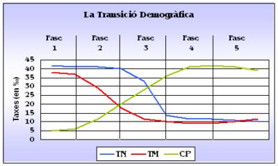 El modelo de transición demográfica Del estudio y el balance de los movimientos naturales de la población surgió el denominado modelo de transición demográfica, que estructura la evolución de la