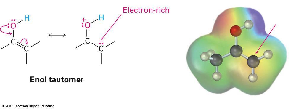 17.2 Reactividad de Enoles: Reacciones de Sustitución en a- Los Enoles son nucleófilos que