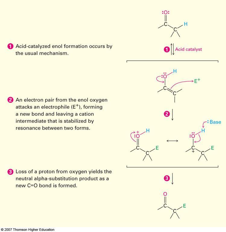 Reactividad de Enoles: Reacciones de Sustitución en a- El catalítico ácido contribuye a la formación del enol.