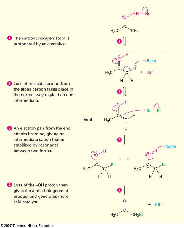 Mecanismo de la bromación de acetona catalizada por ácido Protonación del oxígeno carbonilo por un catalítico ácido Pérdida del protón alfa ácido y formación del enol Ataque de los