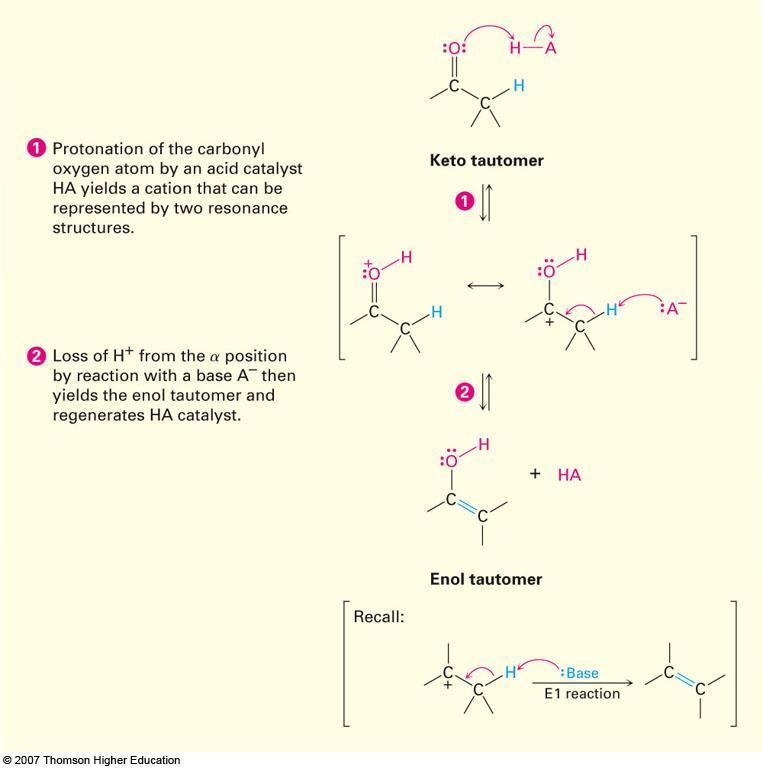 Tautomerismo Ceto-Enol Mecanismo de la formación de enol catalizada por ácido El intermediario protonado puede