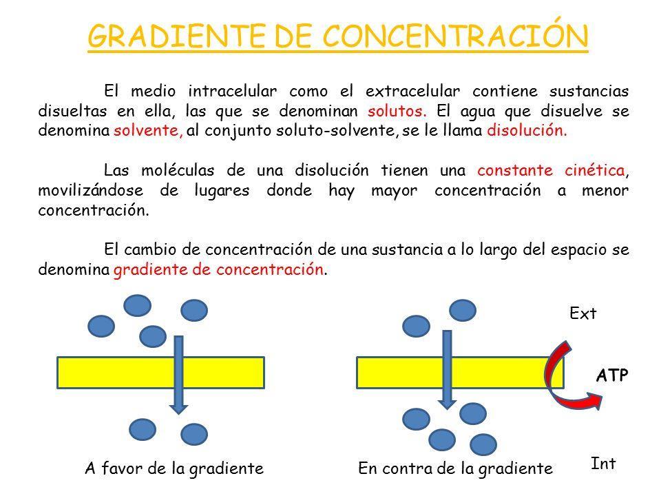 Mecanismos de Transporte según el gradiente de concentración I.