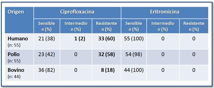 Resistencia a los antibióticos La eritromicina y la ciprofloxacina son los antibióticos de primera y segunda elección para el tratamiento de infecciones por Campylobacer en humanos.