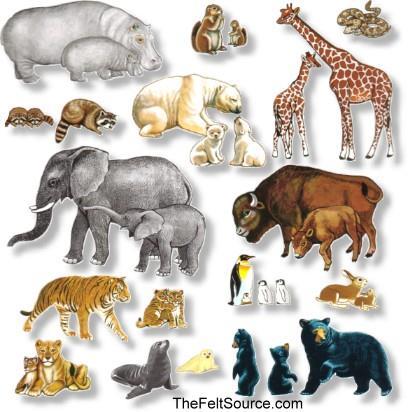 A los animales con columna vertebral se les llama vertebrados.