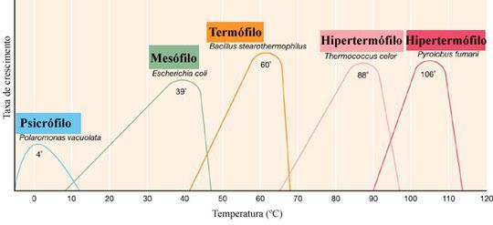 Temperatura Factores que afectan el crecimiento Relación entre la temperatura y las velocidades de crecimiento de psicrófilos, mesófilos, termófilos y dos