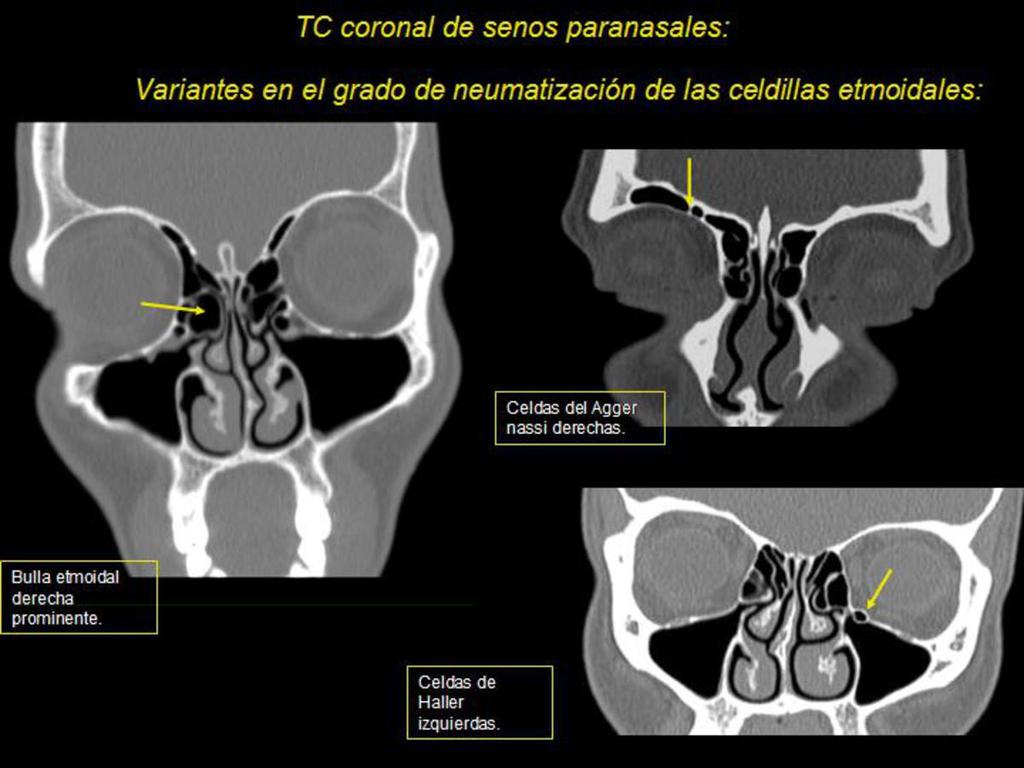 Fig. 7 Hospital La Mancha Centro -