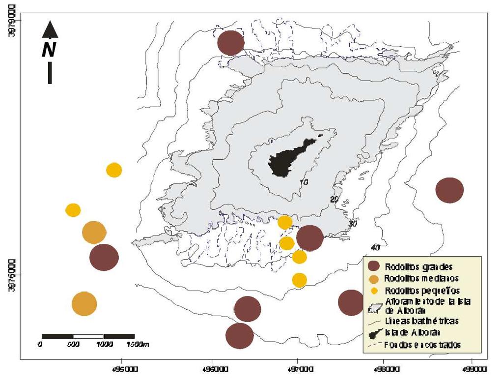 Informe final INDEMARES-Alborán Hábitats identificados Figura 4.16. Mapa de distribución de los rodolitos en función de su tamaño en el entorno de la isla de Alborán. (Tomado de Bárcenas, 2002).