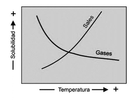 a) Temperatura La solubilidad de un gas en un líquido disminuye con un aumento de temperatura.