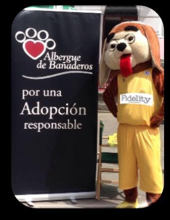 Este proyecto pretende crear un Club de mascotas que sean amigos de Granky, la mascota del C.B. Gran Canaria.