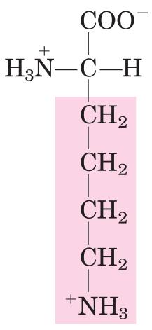 Indique cuál de estos aminoácidos presenta un grupo R apolar: a.