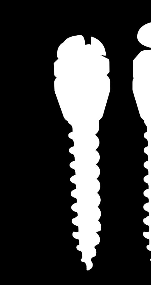 tomas -pin Cabeza lisa tomas -pin Diseño familiar del bracket Cabeza con slot 22 en cruz con socavado Nuevo diseño fungiforme de la cabeza Self-Drilling Altura 2,7 mm Hexágono de 2,5