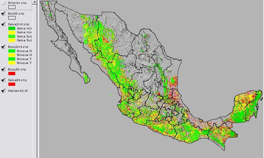 2.2 Representación Cartográfica Georeferenciación: Bosques y selvas 2000 y pérdida de desde 1980 Pérdida de bosque o selva de 1980 a 2000