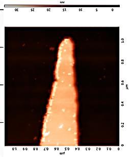 Figura 155. Imagen de la punta de un pit proporcionada por NT-MDT.