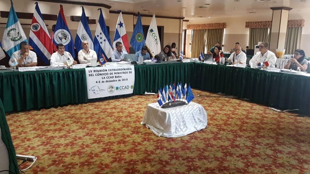 ambiente de Centroamérica y República Dominicana que integran el Consejo de Ministros de la Comisión Centroamericana de Ambiente y Desarrollo (CCAD), sostuvieron este día una reunión extraordinaria