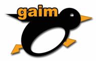 Mensajería Instantánea : GAIM Soporta múltiples protocolos : MSN, Jabber, ICQ, y otros mas exóticos.