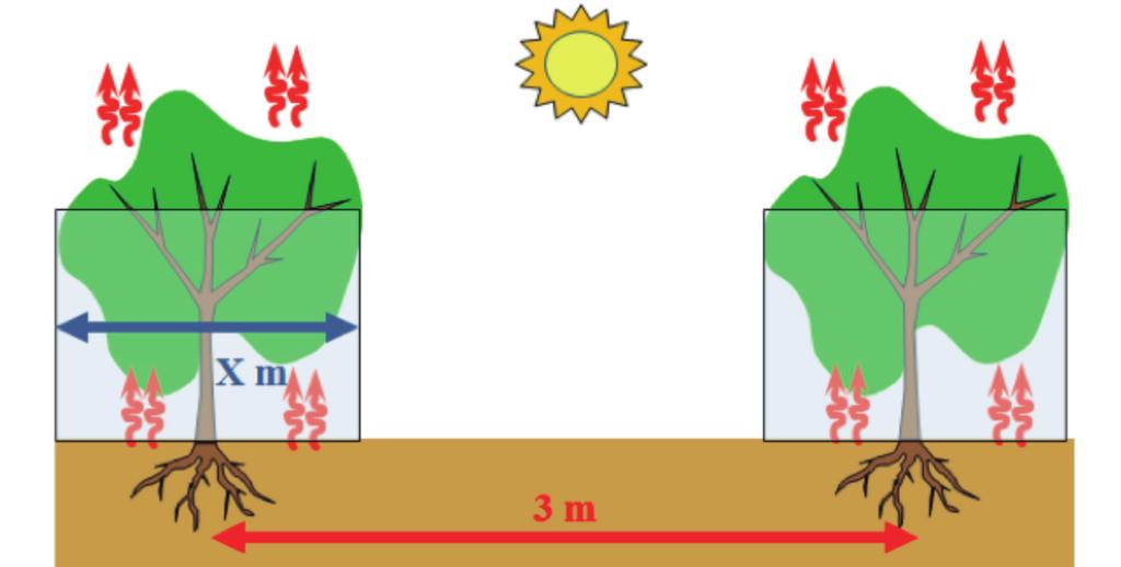 Figura 5.5. Diagrama que muestra relación entre área sombreada o porcentaje de cobertura y espaciamiento entre hileras necesarias para calcular el factor de cobertura. Cuánta agua consume la planta?