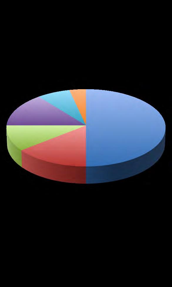 CHARLAS 14% 7% 4% 50% 11% VINCE