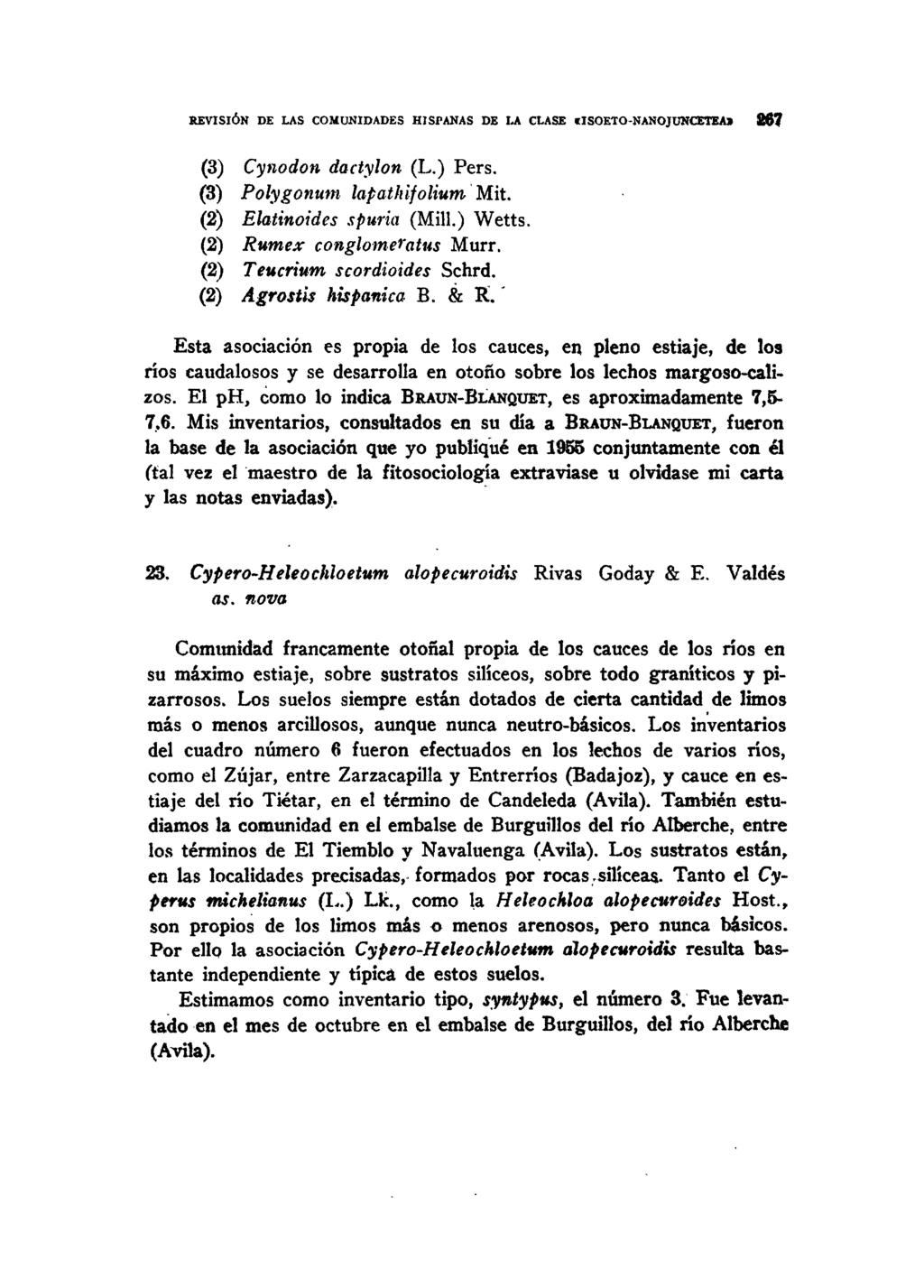 REVISIÓN DE LAS COMUNIDADES HISPANAS DE I.A CLASE «ISOETO-NANOJUNCETEA» 267 (3) Cynodon dactylon (L.) Pers. (3) Polygonum lapathifolium Mit. (2) Elatinoides spuria (Mill.) Wetts.