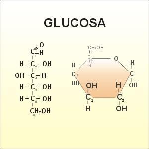 La glucosa puede