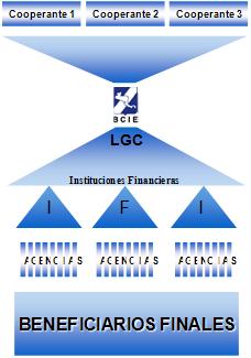 III. Instrumentos Financieros Líneas de Crédito