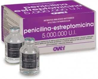 Penicilina+estreptomicina 5.000.000 U.I Asociación antibiótica sinérgica de amplio espectro bactericida. Analgésico. Antitérmico. Cada frasco con polvo contiene: * Penicilina G Sódica 2.500.000 U.I. * Penicilina G Procaínica 1.