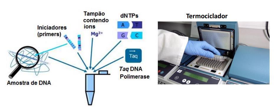 concentración del ADN extraido (Nanodrop).