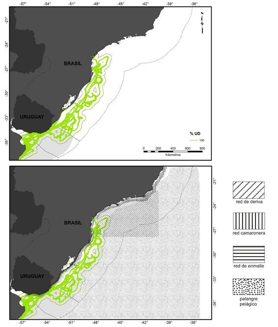 Figura 13. Ruta migratoria de las tortugas verdes y áreas de pesca de las flotas que operan en la ZEE de Uruguay, Brasil y aguas internacionales.