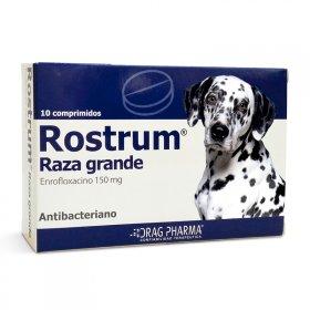 ROSTRUM RAZA GRANDE - Comprimido Oral ANTIBACTERIANO DE AMPLIO ESPECTRO.