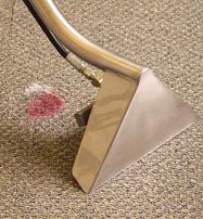 Use a carpet extractor, filled with an appropriate