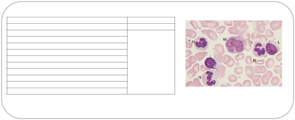 En un hemograma completo vamos a tener tres componentes principales: Serie roja Frotis de sangre periférica: fundamental p.ej. en algunas anemias, porque del diferencial no puede deducirse.