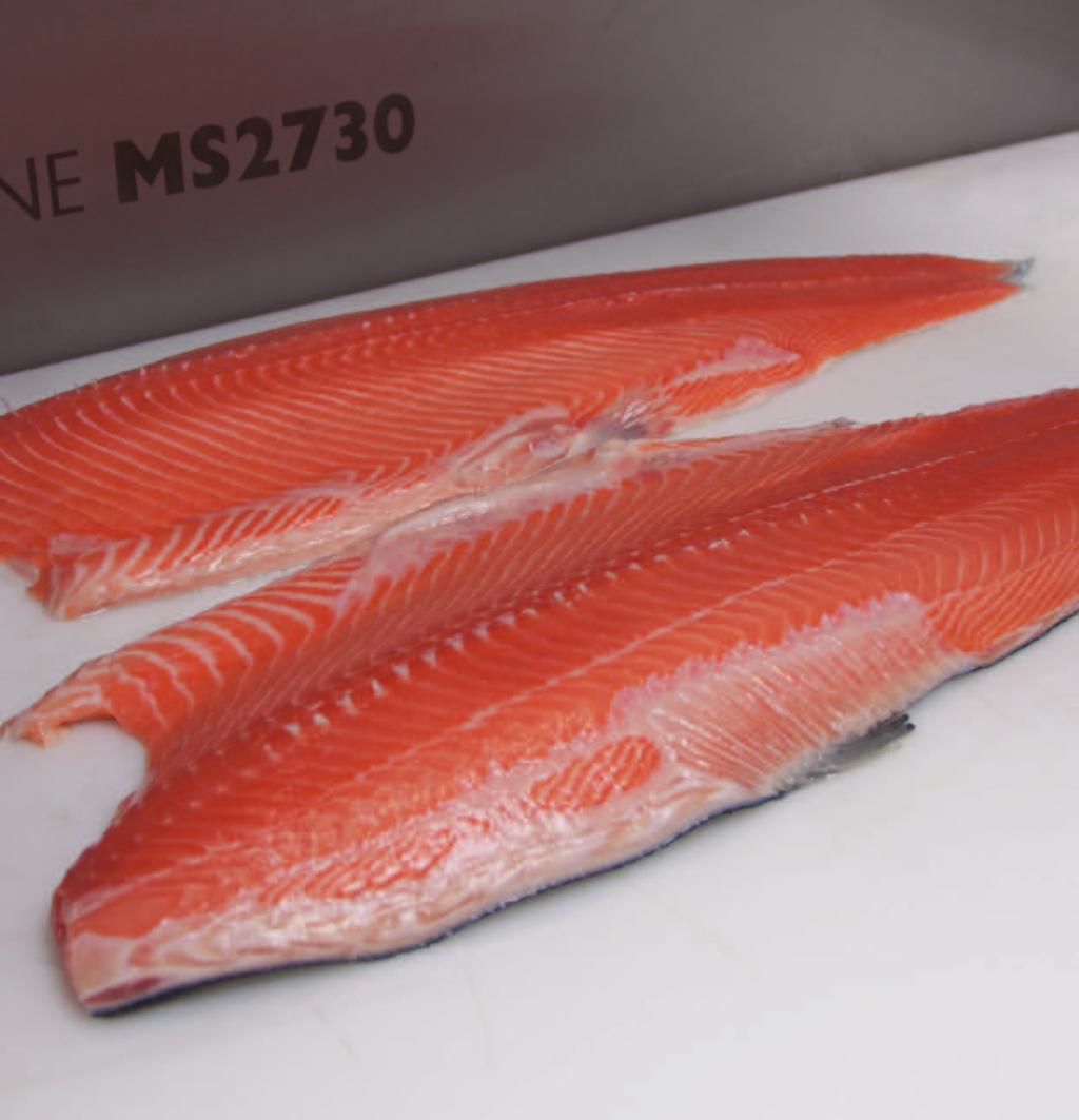 Fileteadora de salmón Fileteadora avanzada con un rendimiento óptimo Fileteado eficiente y de alta calidad