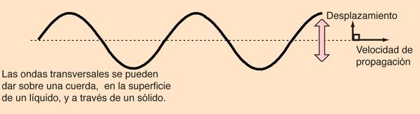 42a Ondas mecánicas transversales La vibración de las partículas individuales del medio es perpendicular a la dirección de propagación de la onda.